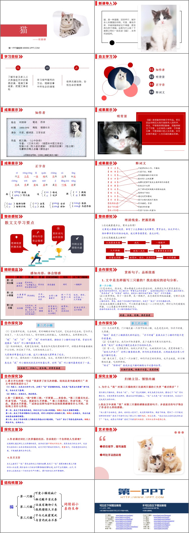 图片[2]-《猫》PPT优质免费课件-第一PPT