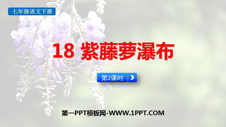 图片[1]-《紫藤萝瀑布》PPT课件下载(第2课时)-第一PPT