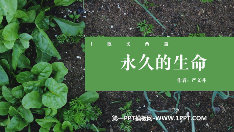 图片[1]-《永久的生命》PPT精品教学课件-第一PPT