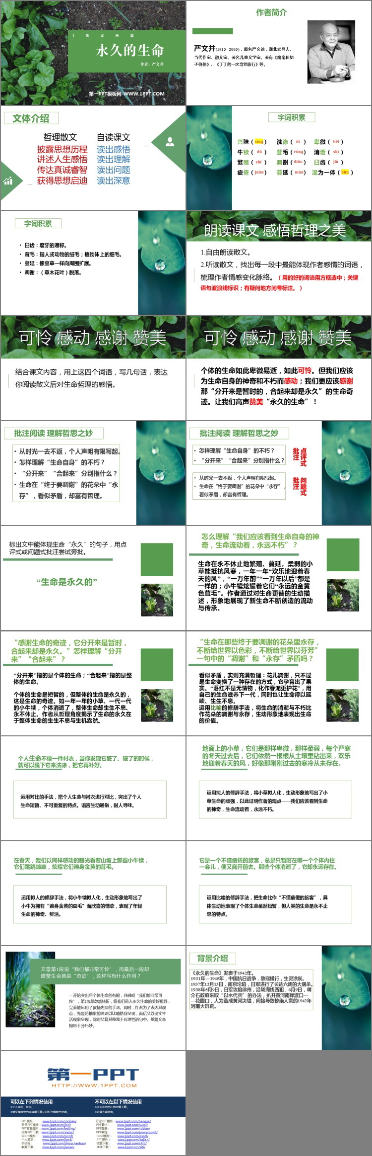 图片[2]-《永久的生命》PPT精品教学课件-第一PPT