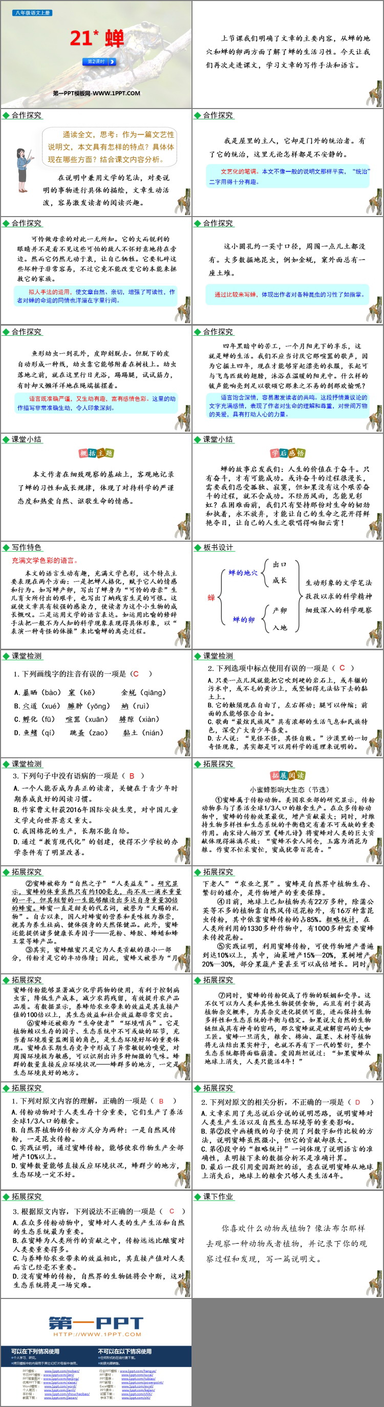 图片[2]-《蝉》PPT免费课件(第2课时)-第一PPT