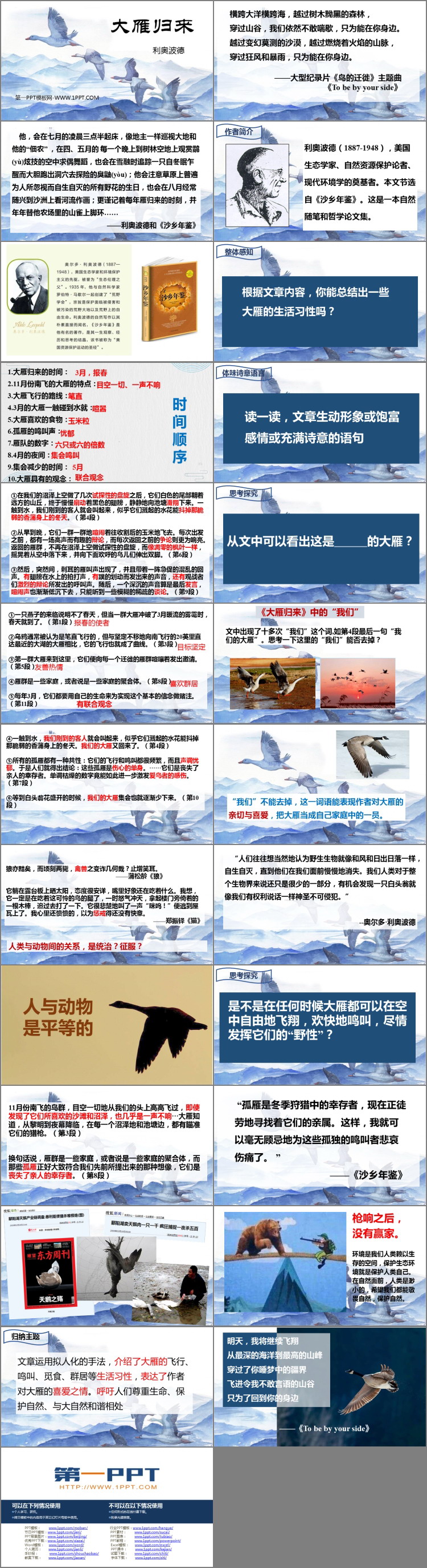 图片[2]-《大雁归来》PPT优质课件下载-第一PPT