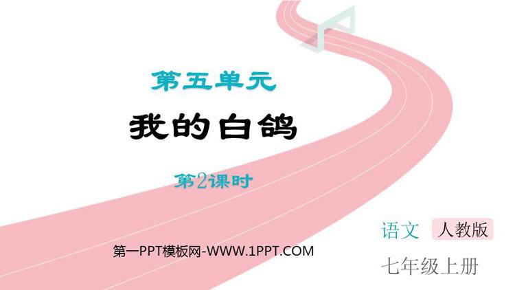 图片[1]-《我的白鸽》PPT课件(第2课时)-第一PPT