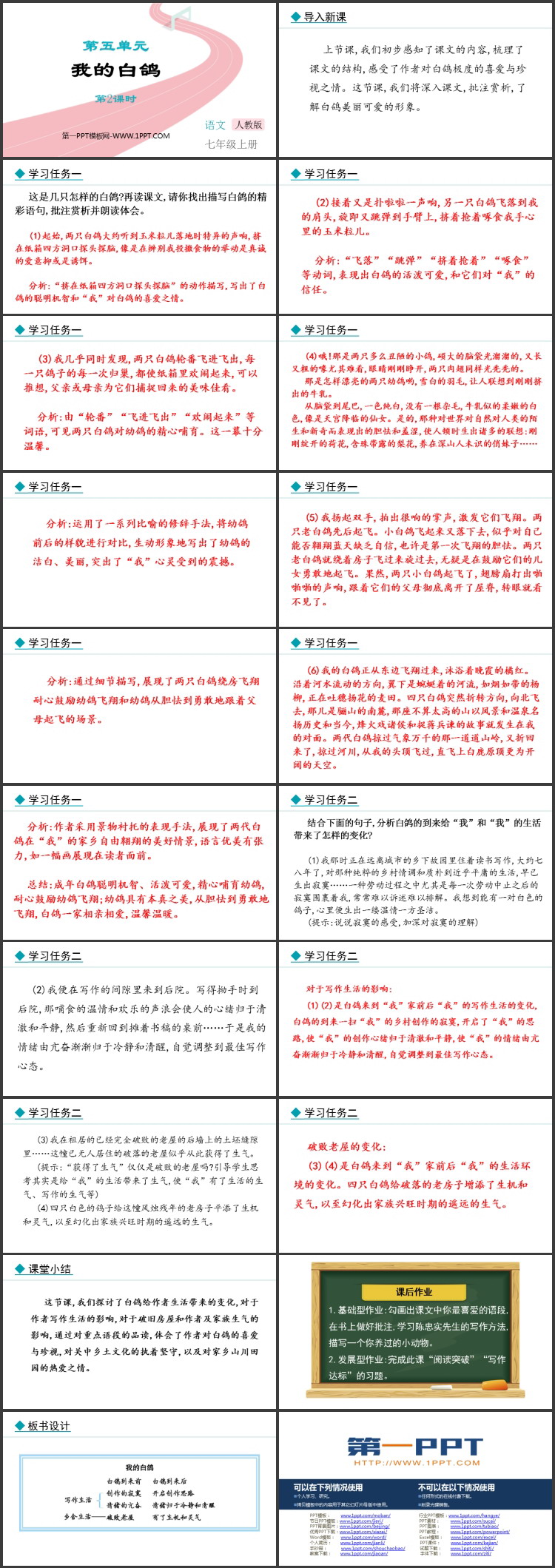 图片[2]-《我的白鸽》PPT课件(第2课时)-第一PPT