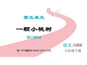 《一棵小桃树》PPT教学课件(第2课时)-第一PPT