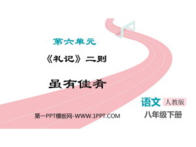 《虽有嘉肴》PPT优秀课件下载-第一PPT