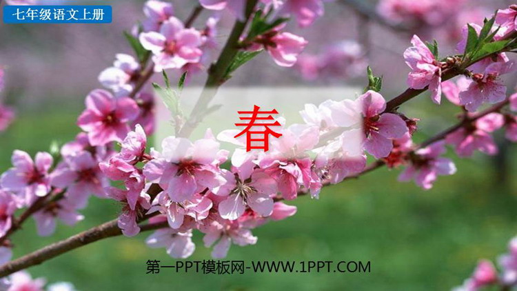 图片[1]-《春》PPT精品教学课件下载-第一PPT