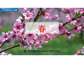 《春》PPT精品教学课件下载-第一PPT