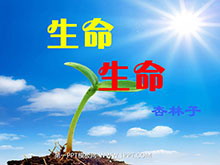《生命生命》PPT课件2-第一PPT