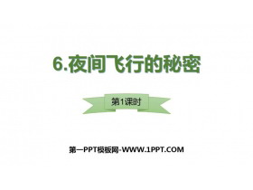 《夜间飞行的秘密》PPT课件(第1课时)-第一PPT