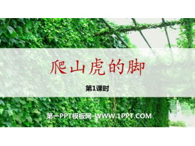 《爬山虎的脚》PPT精品课件(第1课时)-第一PPT