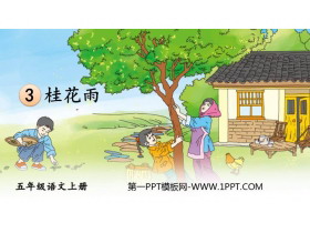 《桂花雨》PPT免费教学课件-第一PPT