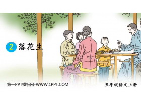 《落花生》PPT免费教学课件-第一PPT