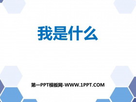 《我是什么》PPT优质教学课件-第一PPT