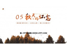 《秋天的怀念》PPT免费教学课件-第一PPT