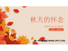 《秋天的怀念》PPT优质课文课件-第一PPT