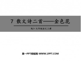《金色花》散文诗二首PPT教学课件-第一PPT