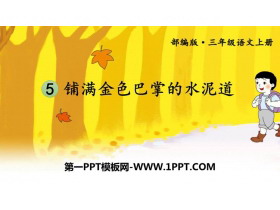 《铺满金色巴掌的水泥道》PPT优秀课件下载-第一PPT