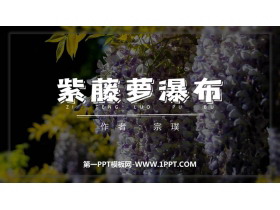 《紫藤萝瀑布》PPT优秀教学课件-第一PPT