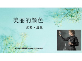 《美丽的颜色》PPT免费教学课件-第一PPT