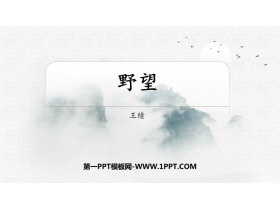 《野望》PPT精品课件下载-第一PPT