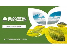 《金色的草地》PPT免费教学课件-第一PPT