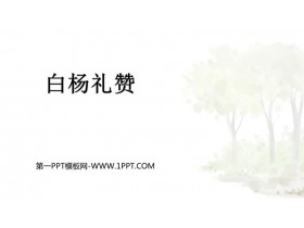 《白杨礼赞》PPT免费教学课件-第一PPT