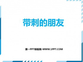 《带刺的朋友》PPT优质课件-第一PPT