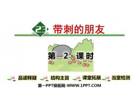 《带刺的朋友》PPT教学课件(第2课时)-第一PPT