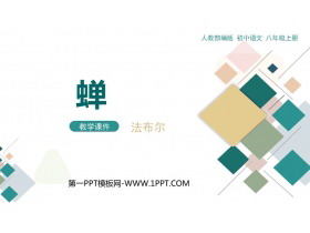 《蝉》PPT免费教学课件-第一PPT