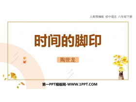 《时间的脚印》PPT精品课件下载-第一PPT