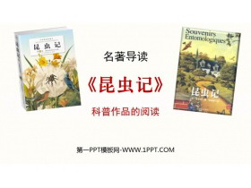 《昆虫记》PPT教学课件-第一PPT
