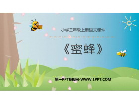 《蜜蜂》PPT精品课件-第一PPT