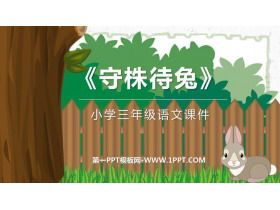 《守株待兔》PPT优秀课件下载-第一PPT