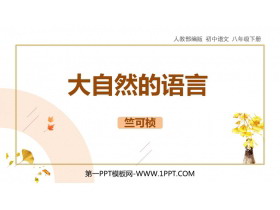《大自然的语言》PPT优秀课件下载-第一PPT