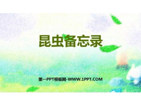 《昆虫备忘录》PPT精品课件下载-第一PPT
