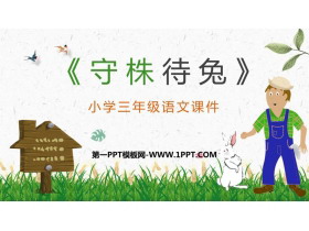 《守株待兔》PPT免费教学课件-第一PPT