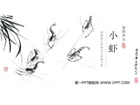 《小虾》PPT优质课件下载-第一PPT
