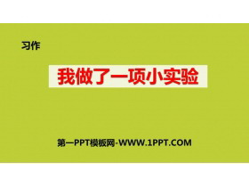 《我做了一项小实验》PPT精品课件下载-第一PPT