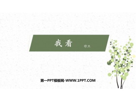《我看》PPT精品教学课件-第一PPT