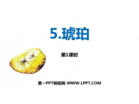 《琥珀》PPT教学课件(第1课时)-第一PPT