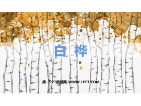 《白桦》PPT课文课件-第一PPT