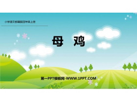 《母鸡》PPT精品课件-第一PPT