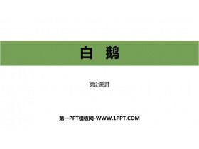 《白鹅》PPT教学课件(第2课时)-第一PPT