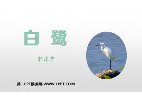 《白鹭》PPT精品课件下载-第一PPT