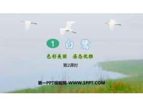 《白鹭》PPT教学课件(第2课时)-第一PPT