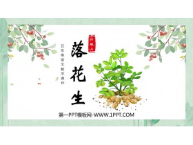 《落花生》PPT优质教学课件-第一PPT
