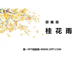 《桂花雨》PPT优质教学课件-第一PPT