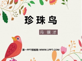 《珍珠鸟》PPT精品教学课件-第一PPT