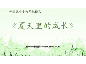 《夏天里的成长》PPT精品课件下载-第一PPT
